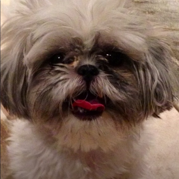 Meet your Posher, Krystal - Picture 1 of 1